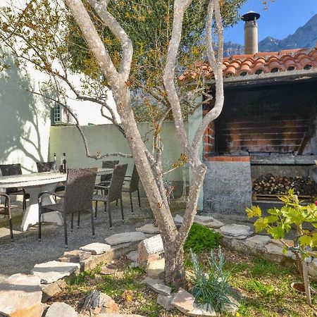 Villa Jelena Makarska Buitenkant foto